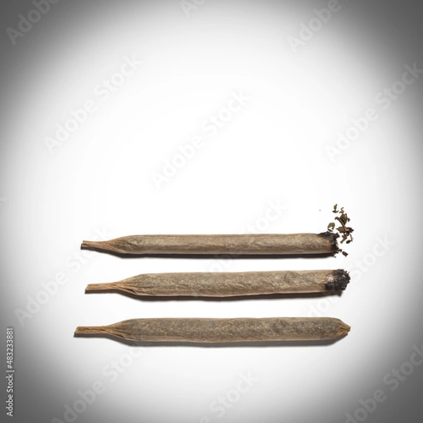 Obraz marijuana cigarette on white background