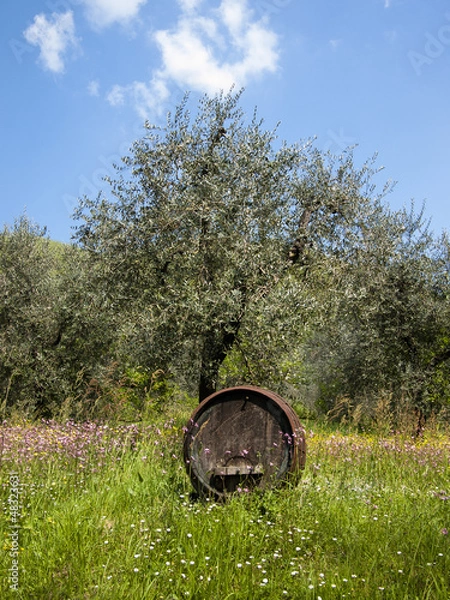 Obraz Botte all'aperto