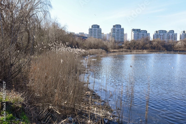 Fototapeta reflection in the river