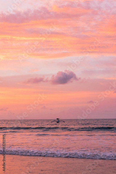 Obraz sunset over the sea