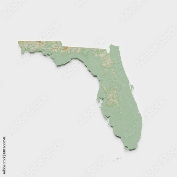 Fototapeta Florida Topographic Relief Map  - 3D Render