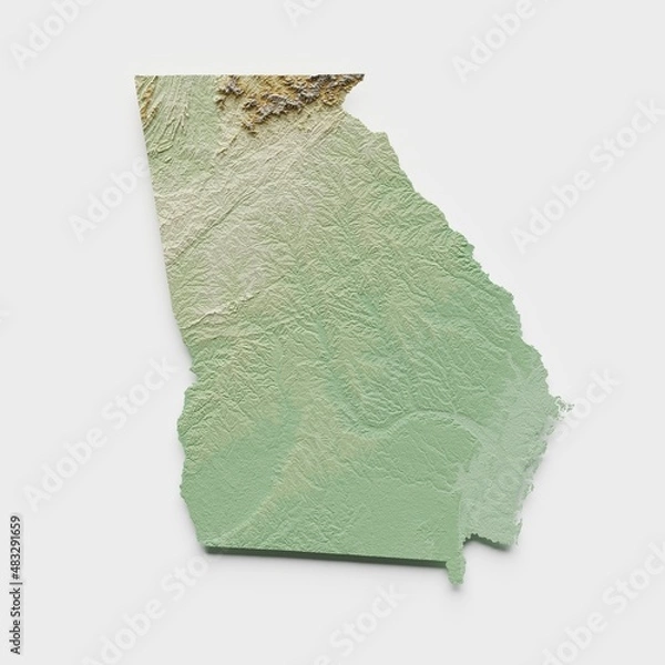 Fototapeta Georgia Topographic Relief Map  - 3D Render
