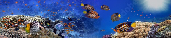 Obraz Coral reef underwater panorama with tropical fish