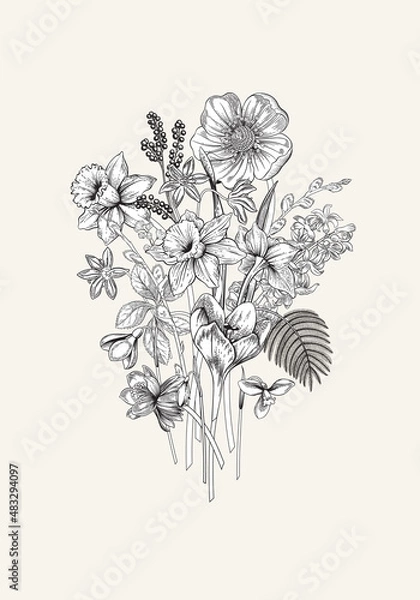 Obraz Spring flowers. Blooming  garden. Vector illustration.