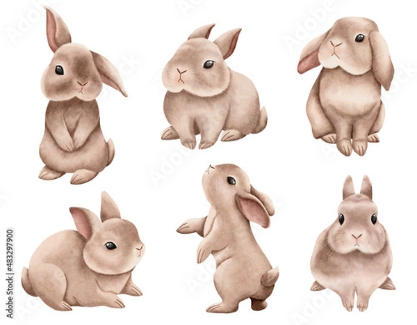 Fototapeta Set of cute little bunnies on an isolated white background.