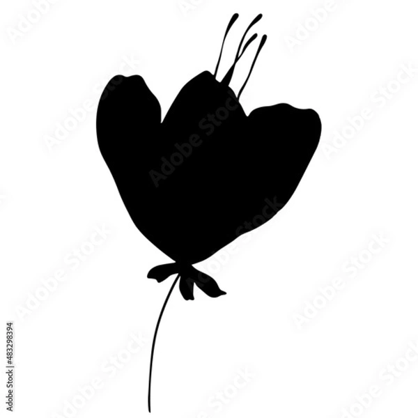 Obraz Flower vector illustration in silhouette design