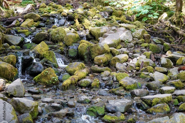 Obraz Un ruisseau descendant la montagne et ses pierres rocheuses