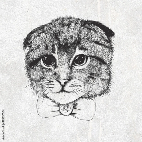 Obraz Head cat sketch original drawing on paper