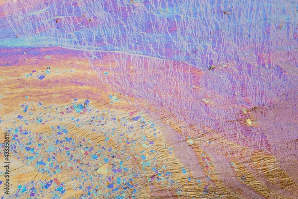 Obraz iron bacteria 1