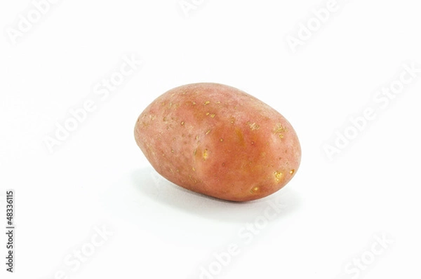 Obraz Patata Rossa