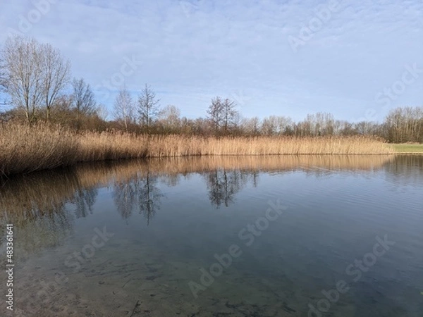 Obraz reflection in the water
