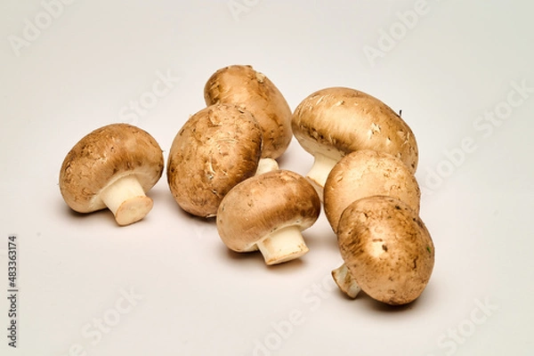Fototapeta Pilze, Champignons, Bio, Markt, Gemüse, Natur
