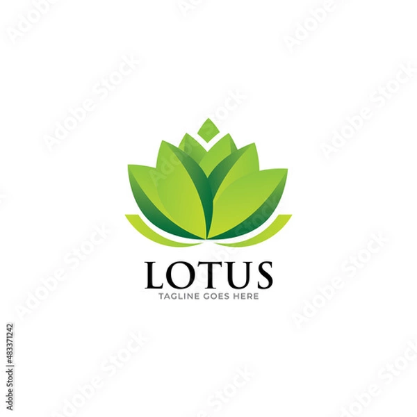Obraz Lotus flower logo vector design.