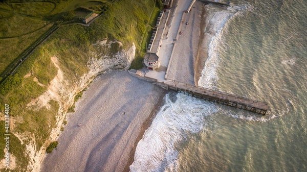 Obraz veules les roses