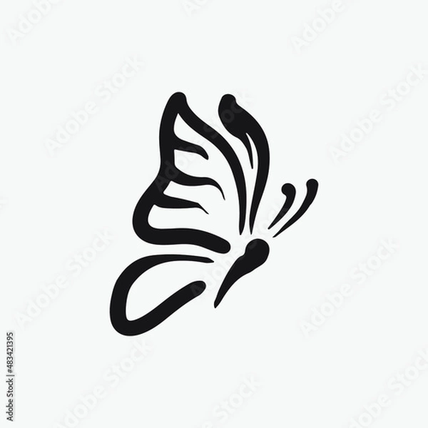 Obraz Butterfly drawing vector illustration.