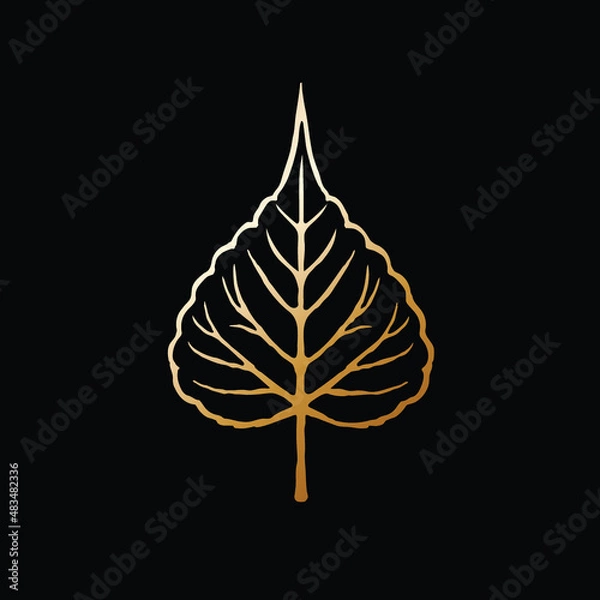 Obraz Hand drawn leaf of bodhi