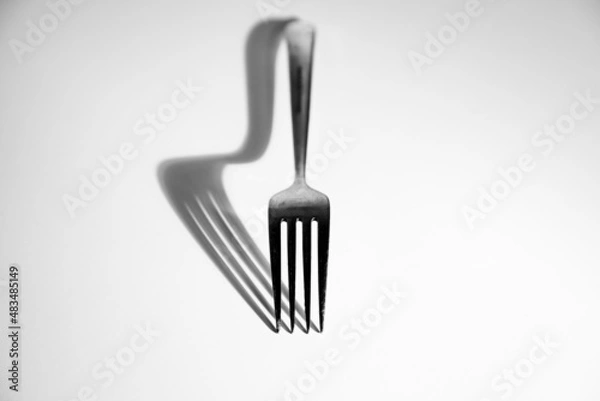 Fototapeta Fork with shadows in various angles