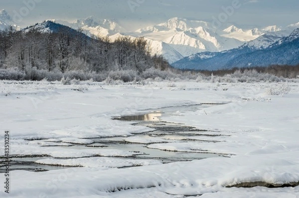 Obraz Chilkat River and Mountains in snow on a sunrise. Winter in Alaska.USA