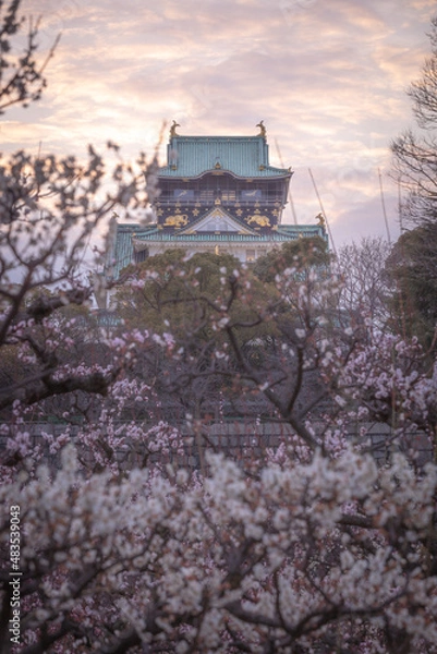 Obraz 大阪府 大阪城 梅林