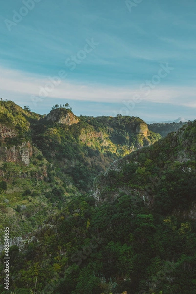 Obraz castle on the hill