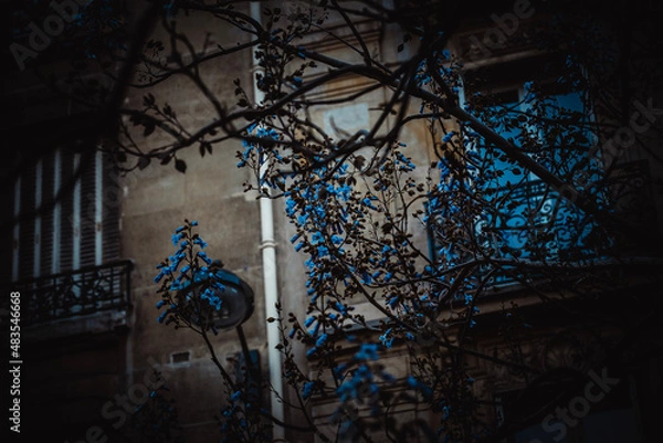 Obraz spooky halloween night