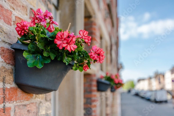 Obraz Bruges, Belgium