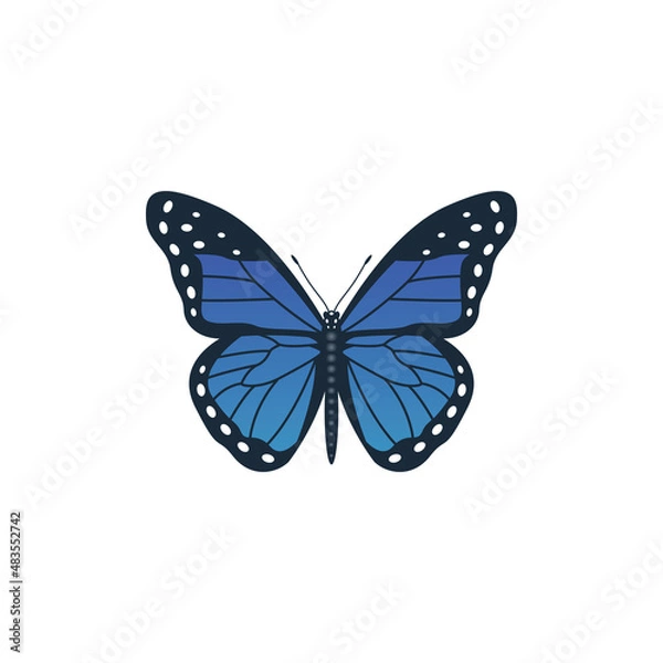 Fototapeta Blue butterfly icon vector, isolated on white background