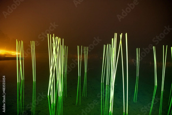 Obraz Grün im Wasser