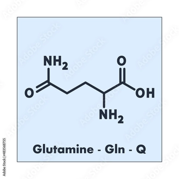 Fototapeta Glutamine - Gln - Q - Conditionally Essential Amino Acid molecular formula, flat chemical structure on blue background for chemistry and biology education.