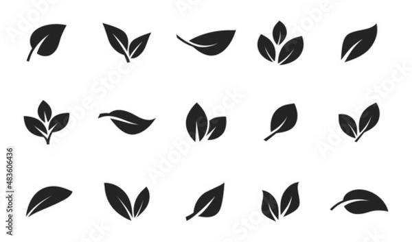 Obraz Set of leaf icons. Leaves icon. Leaves of trees and plants. Collection green leaf. Elements design for natural, eco, bio, vegan labels. Vector illustration.