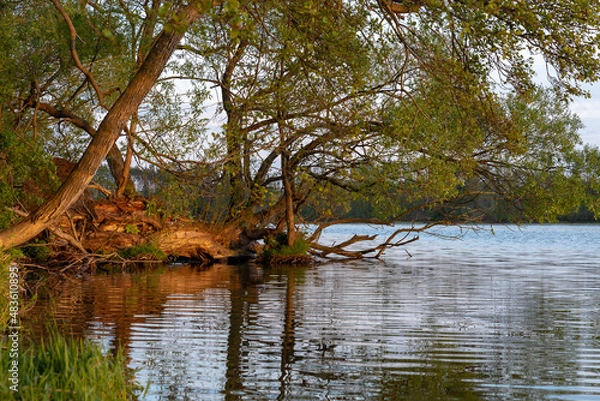 Obraz Nad jeziorem