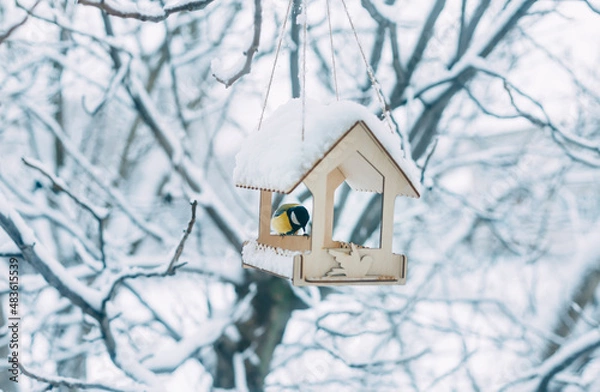 Obraz bird feeder on a tree in winter