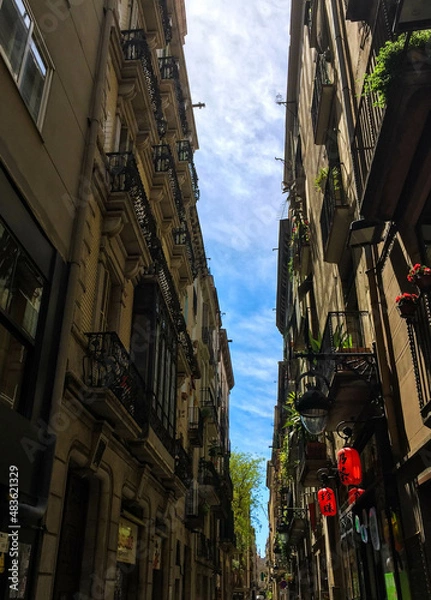 Obraz Carrer de Bonsuccés