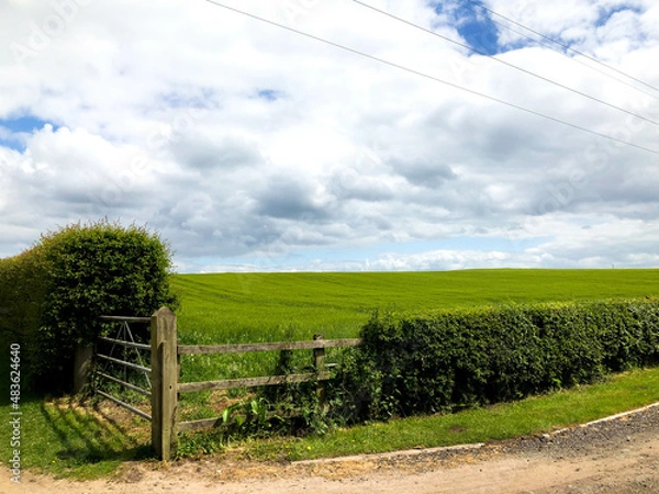 Obraz Field and Gate