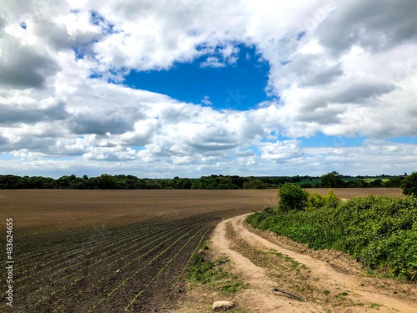 Obraz Ploughed Field