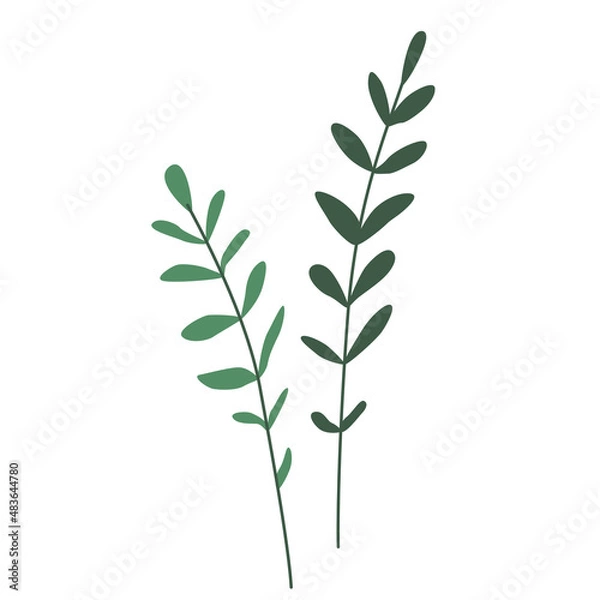 Fototapeta Abstract twigs with leaves vector illustration isolated on white