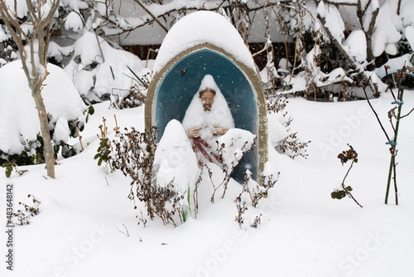 Obraz winter in the garden