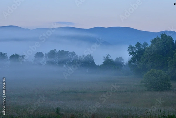 Fototapeta アメリカ自然国立公園の爽やかな風景