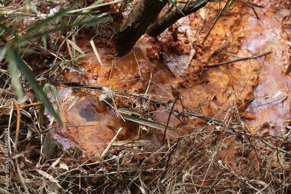 Fototapeta 源泉　原水　鉱泉