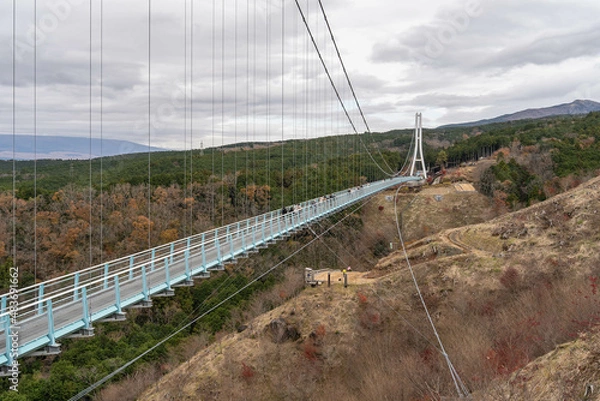 Fototapeta 静岡県 三島市 三島大吊橋