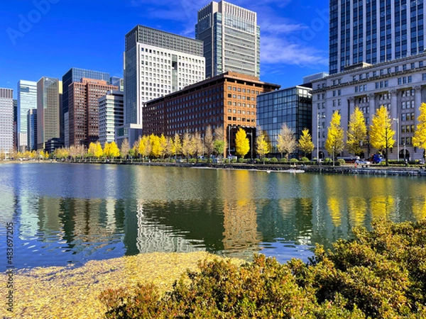 Obraz central park city