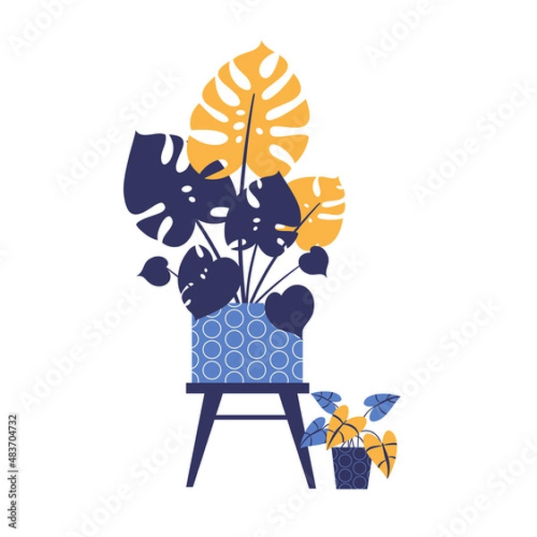 Fototapeta Vector image of house flowers in limited color range. Tropic plant monstera and philodendron. Flat style.