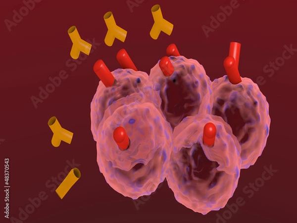 Obraz anticorpi monoclonali attaccano cellule tumorali