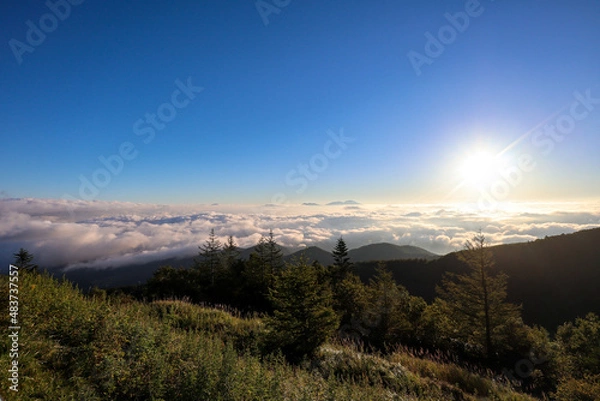 Fototapeta 【日本】絶景ドライブのビーナスライン