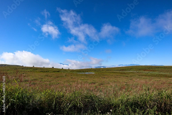 Fototapeta 【日本】絶景ドライブのビーナスライン