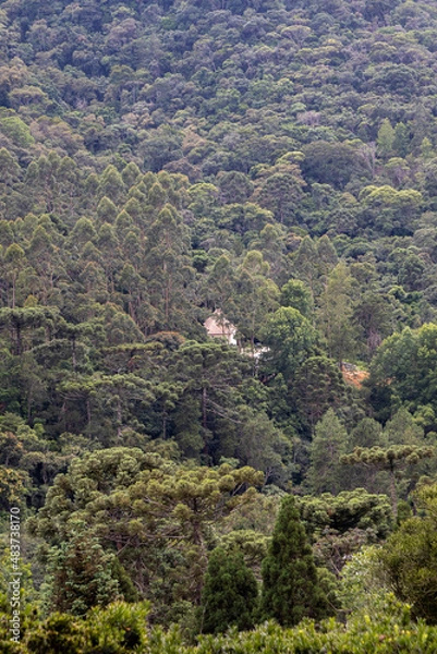 Obraz view from the mountain