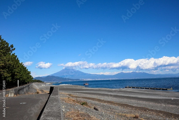 Fototapeta 【日本】三保の松原、富士山