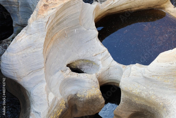 Obraz stone lion statue