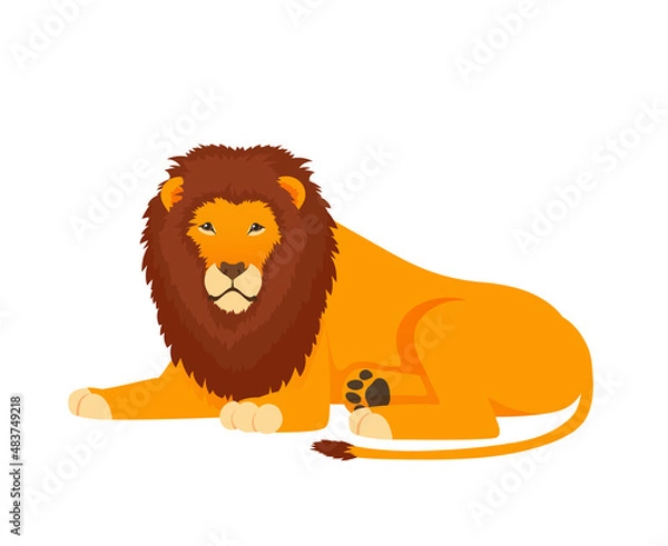 Fototapeta Lion. Vector isolated on white background