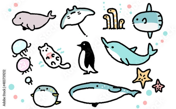 Obraz 海　生き物